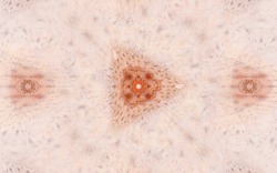 2014 04 30 Webs and Things 65-white.jpg